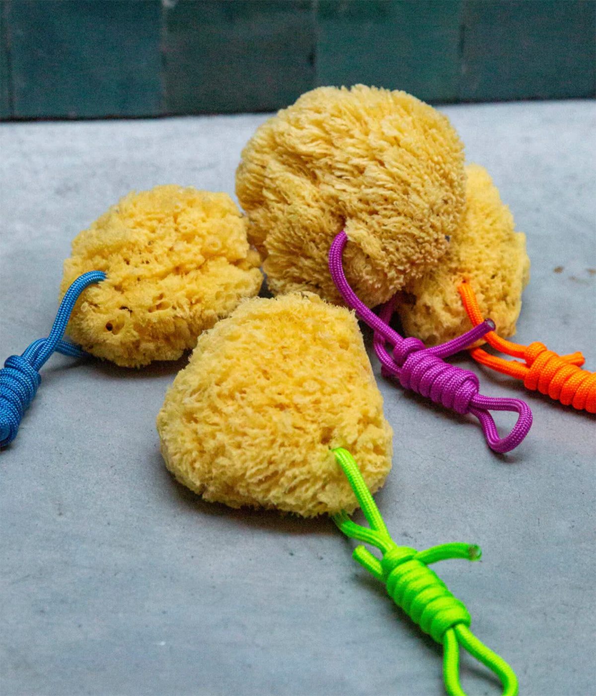 Suite 702_Natural-Sponge
