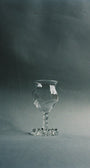 Wine glass